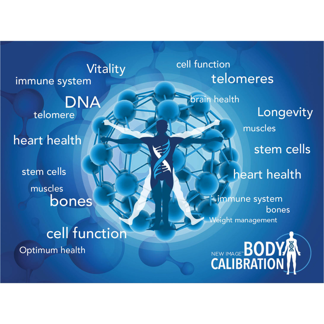 Alpha Lipid Lifeline Blended Milk Colostrum Powder (6 cans)