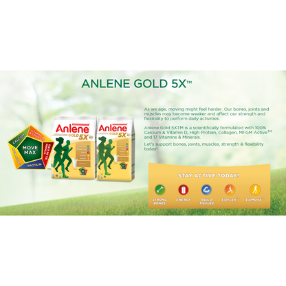 Anlene Gold 5X Milk Powder 1kg