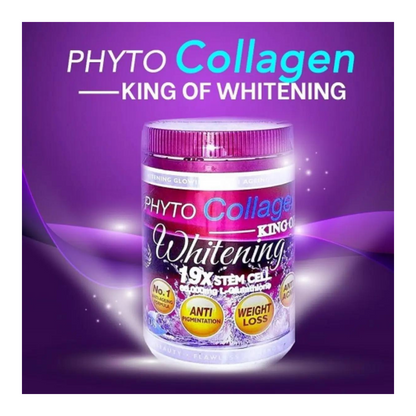 DSM Phyto Collagen King Whitening Anti-Aging 19X Stemcell 800g (2 Bottles)